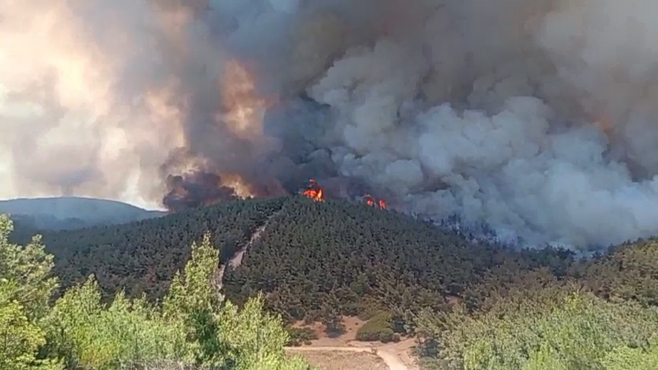 Foça'daki yangına 7 uçak, 14 helikopterle müdahale