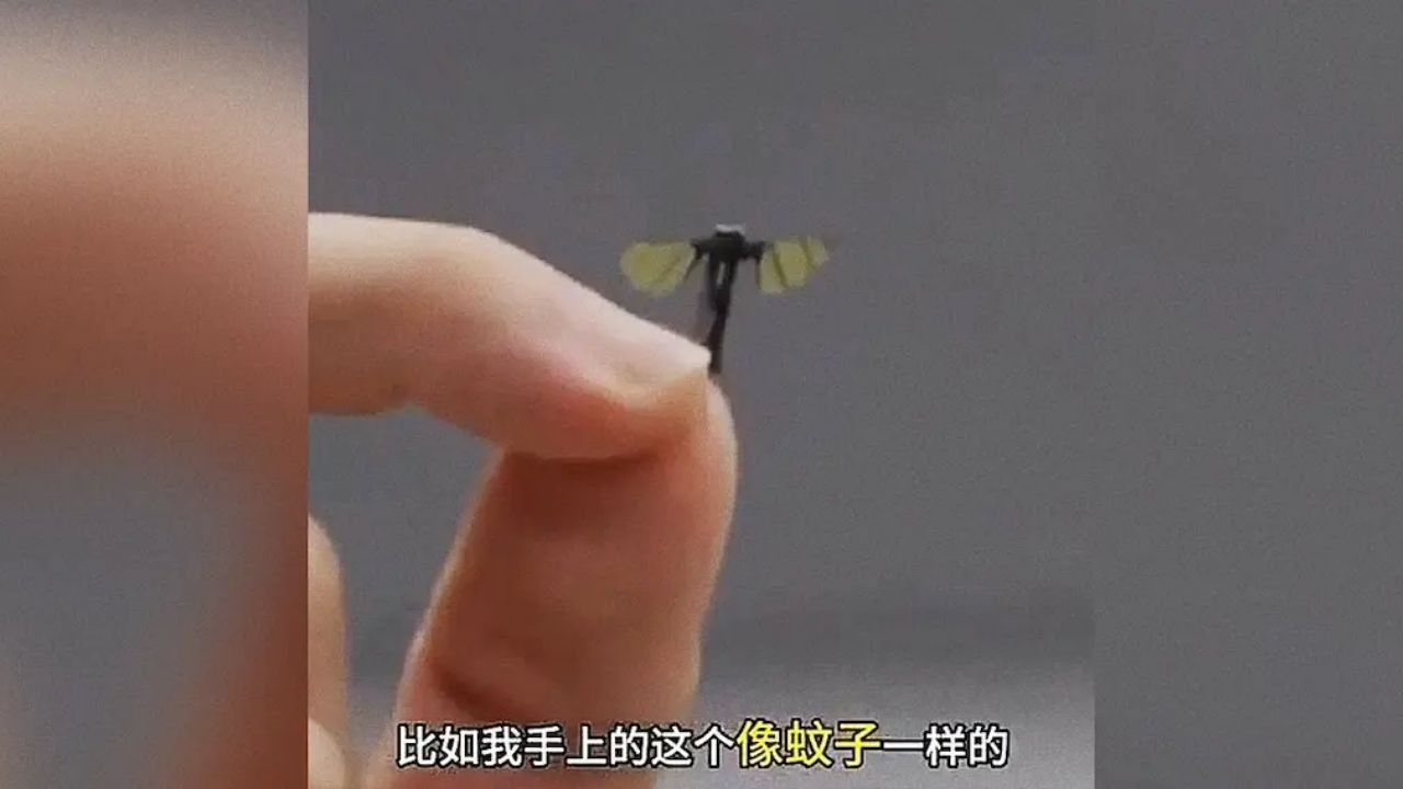 İstihbarat savaşında yeni boyut: Casus sinek