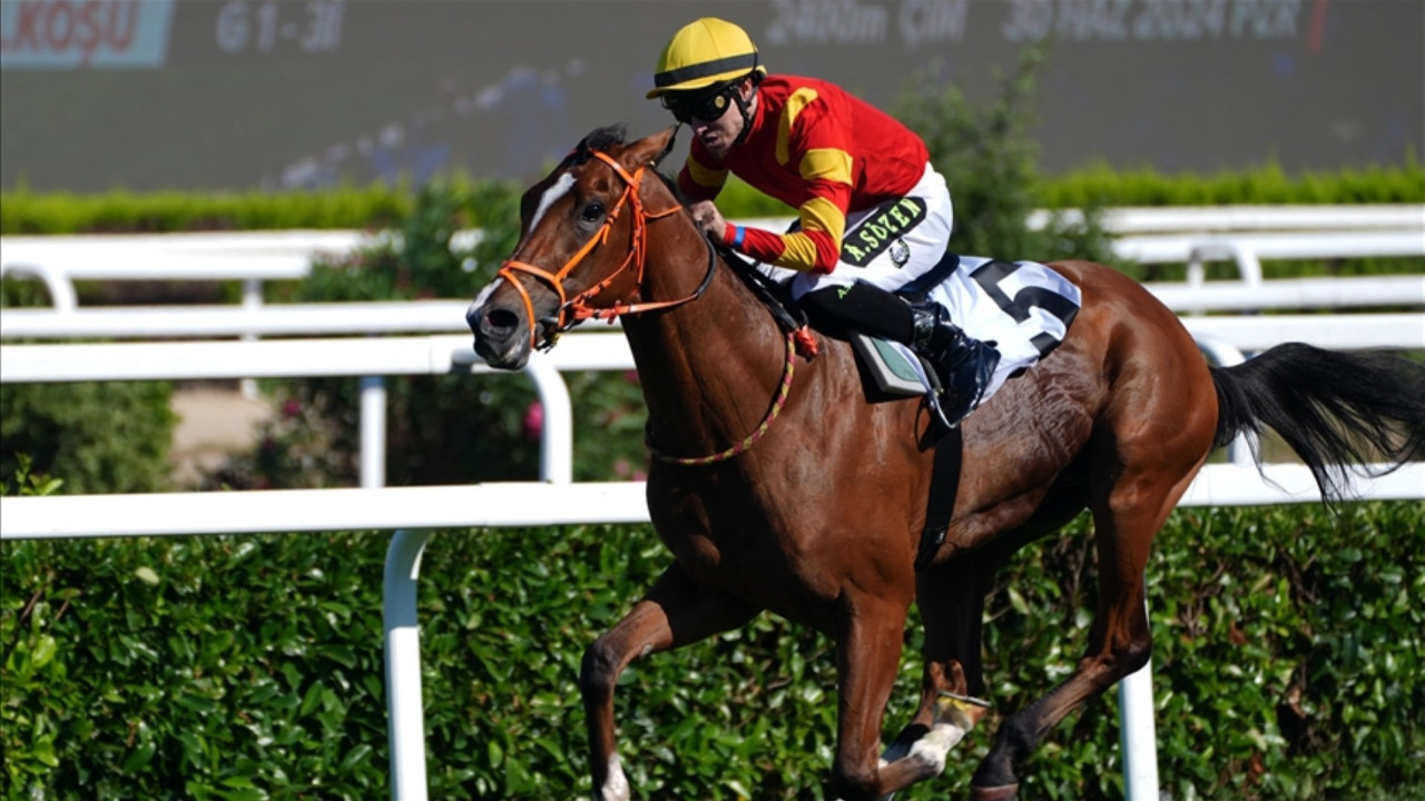 Gazi Koşusu için nefesler tutuldu: Start yarın veriliyor