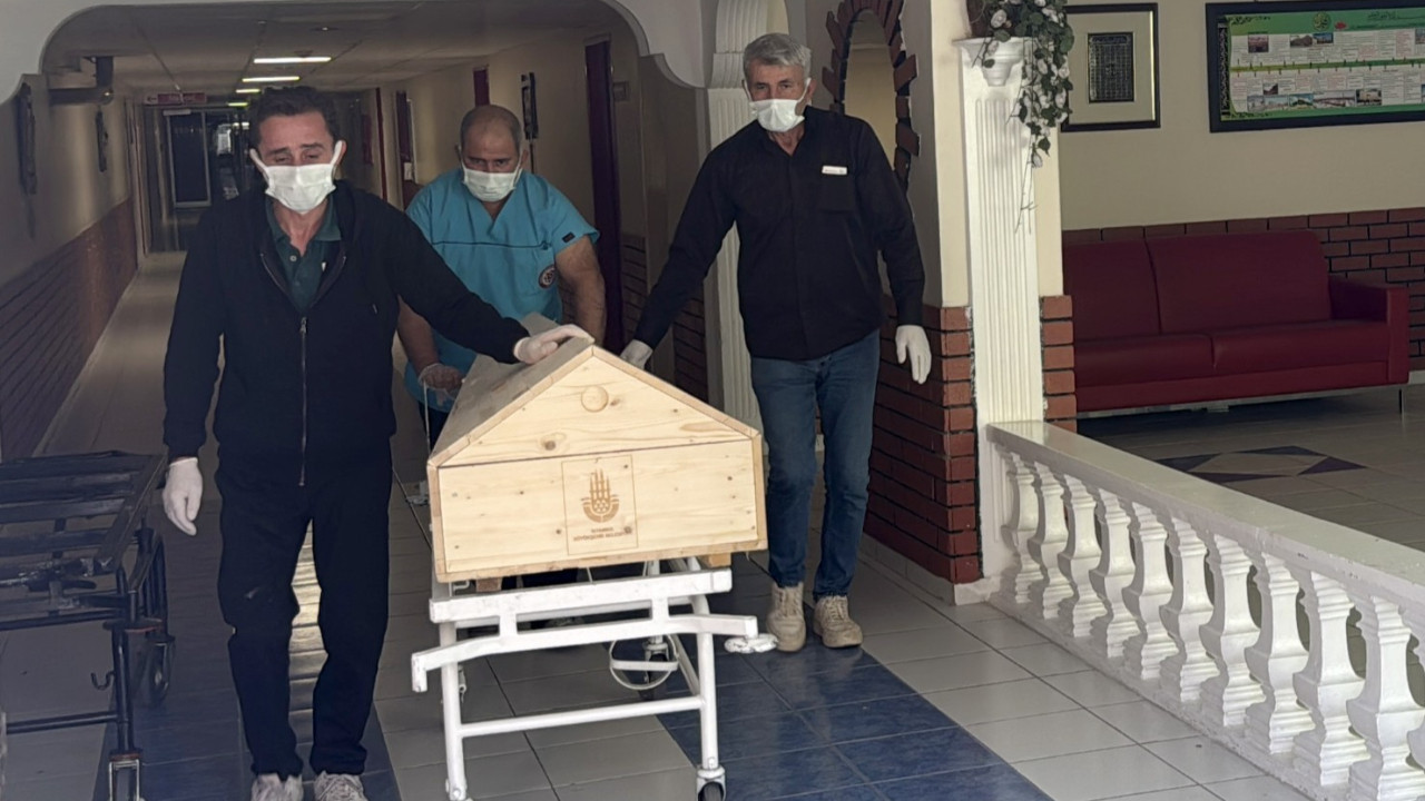 Adeta salgına dönüştü: Bir can kaybı daha