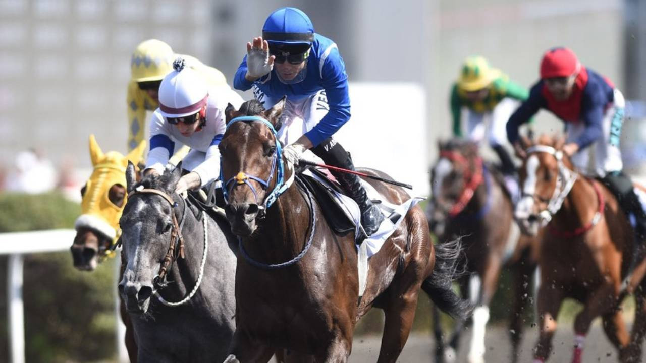 Anafartalar Koşusu’nda rekor: Vedat Abiş, Treasure Island ile zafere ulaştı