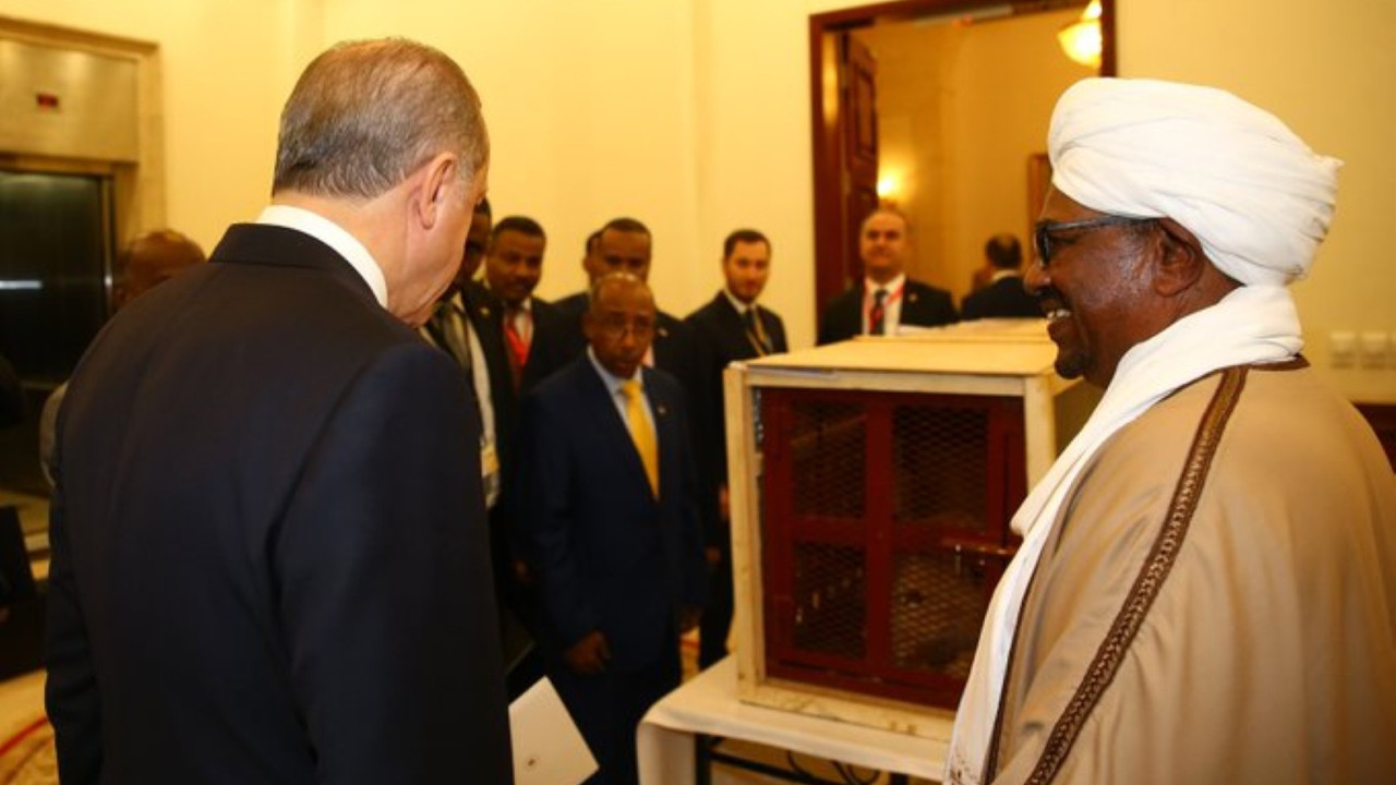 Erdoğan'ın aslanları yavruladı