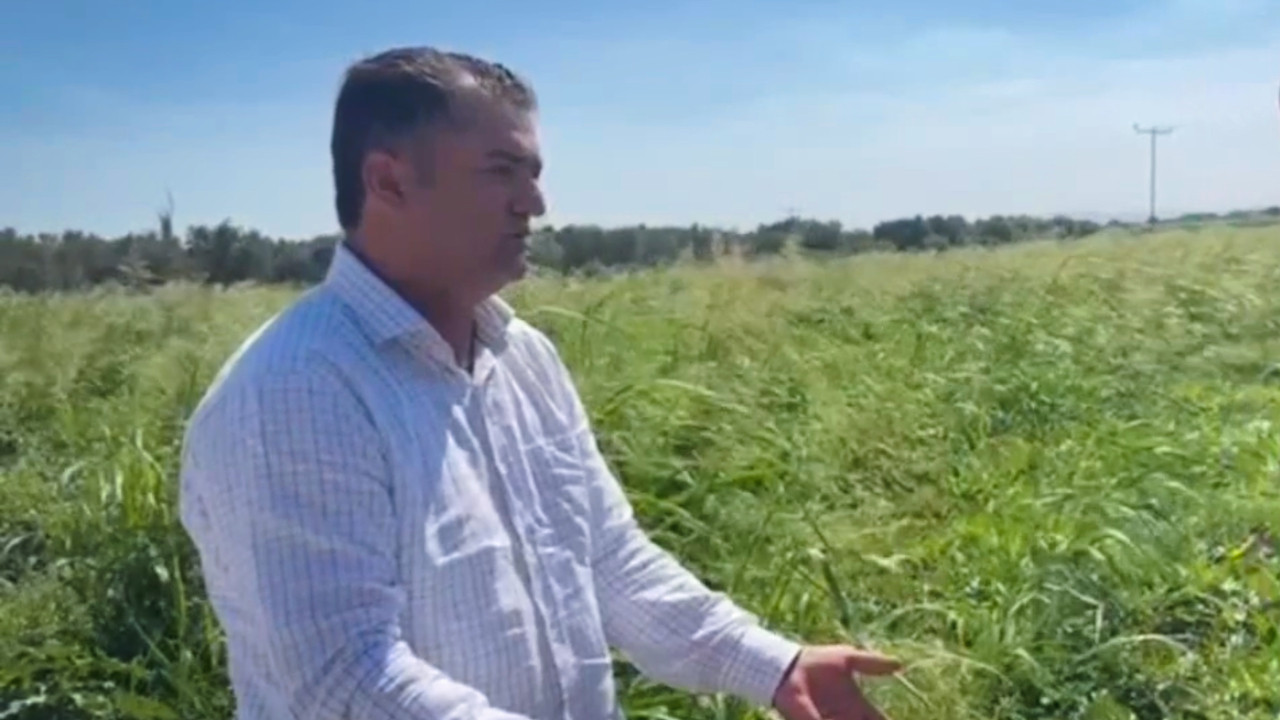 Fiyatlara karşı öfke büyüdü: Kahvede çay içebilmek için 5 kilo satmak gerekiyor