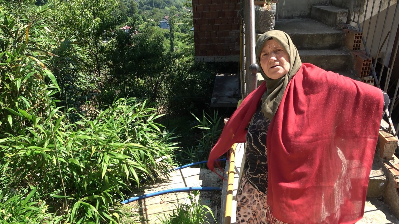 Mahalleli çözüm arıyor: Kalem yaparız diye diktiler, bütün köyü sardı