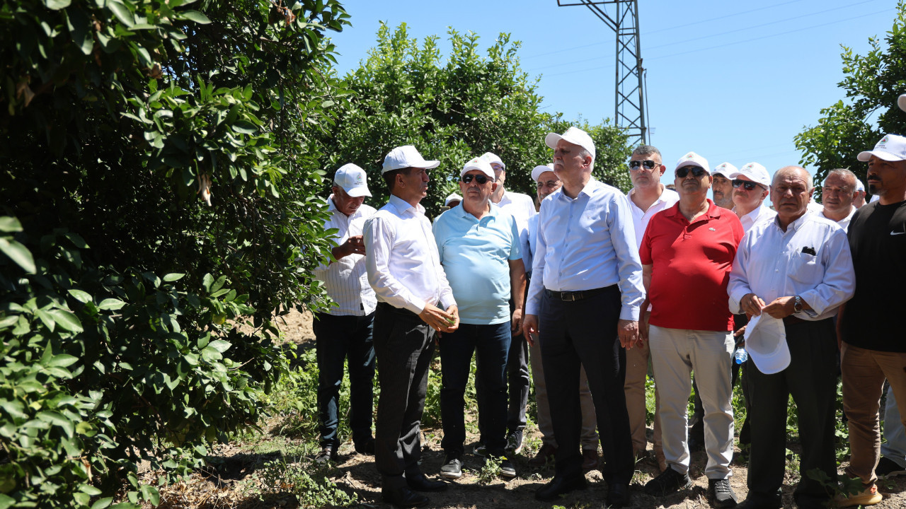 Don, kuraklık, göç: Tarım can çekişiyor