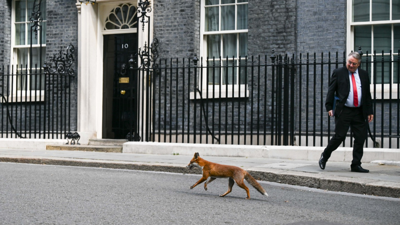 Kabineye sürpriz misafir