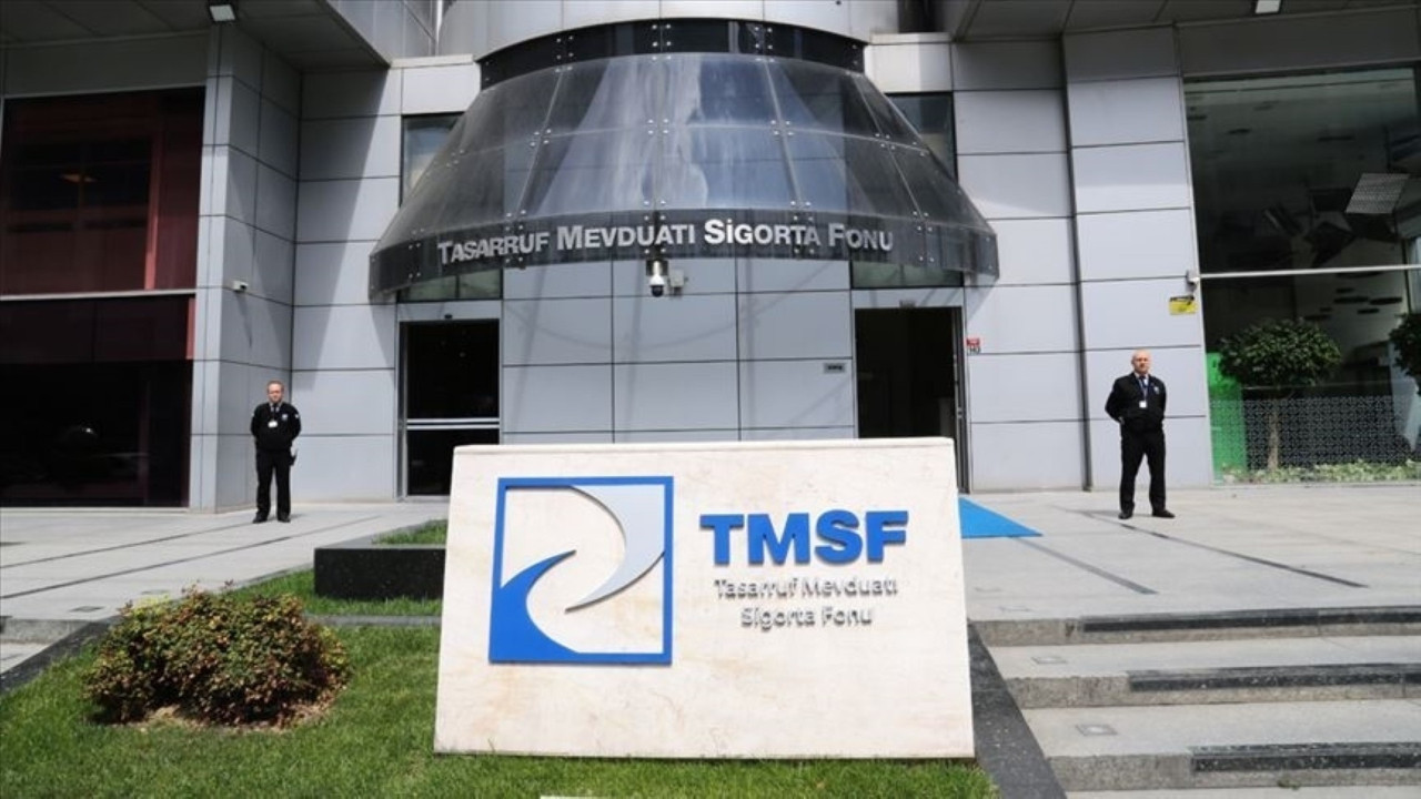 TMSF iki şirketi satışa çıkardı