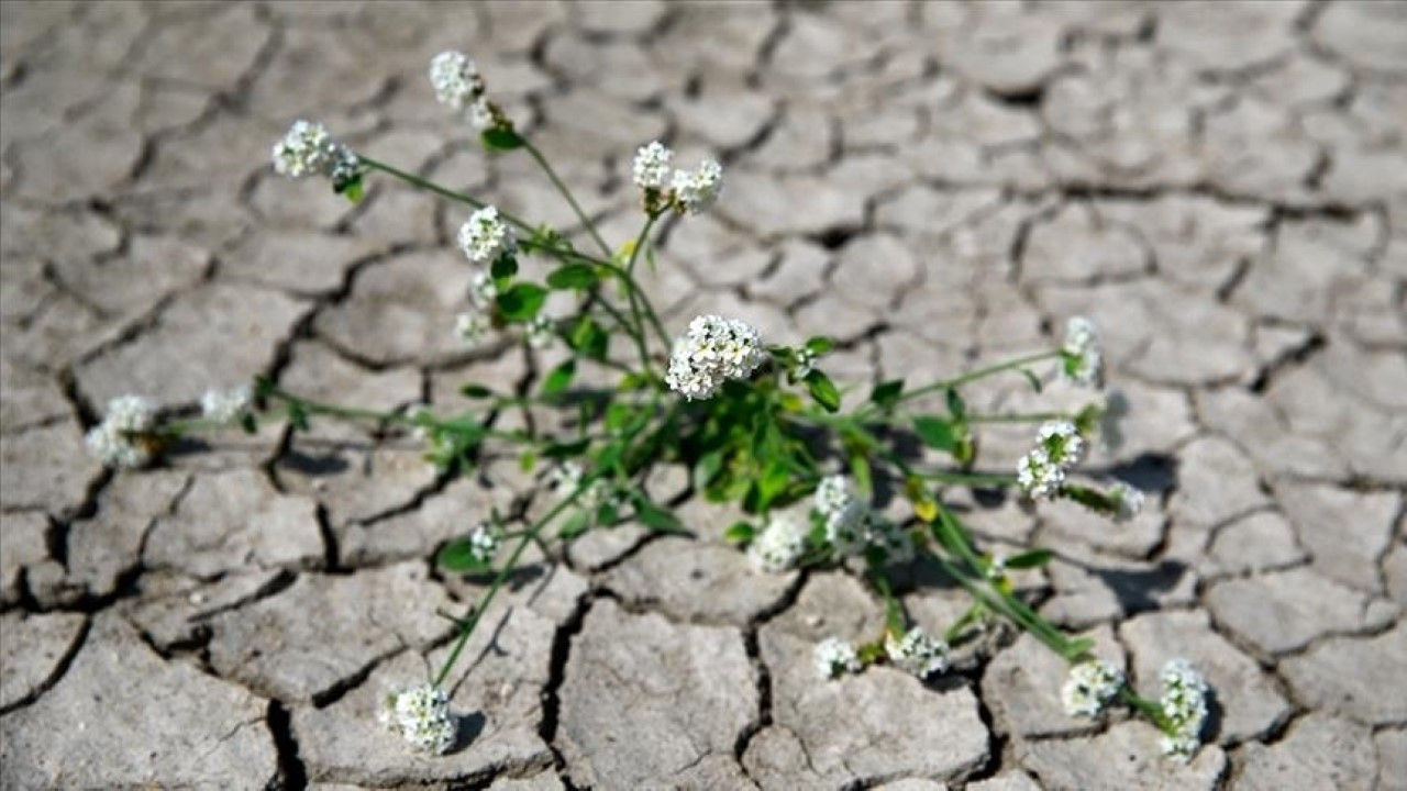 İklim Kanunu kabul edildi