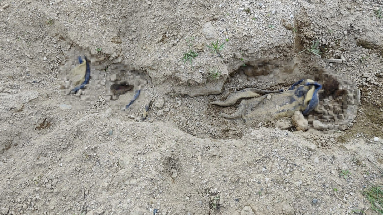 İstanbul’da öldürüp, Nevşehir’e gömmüşler
