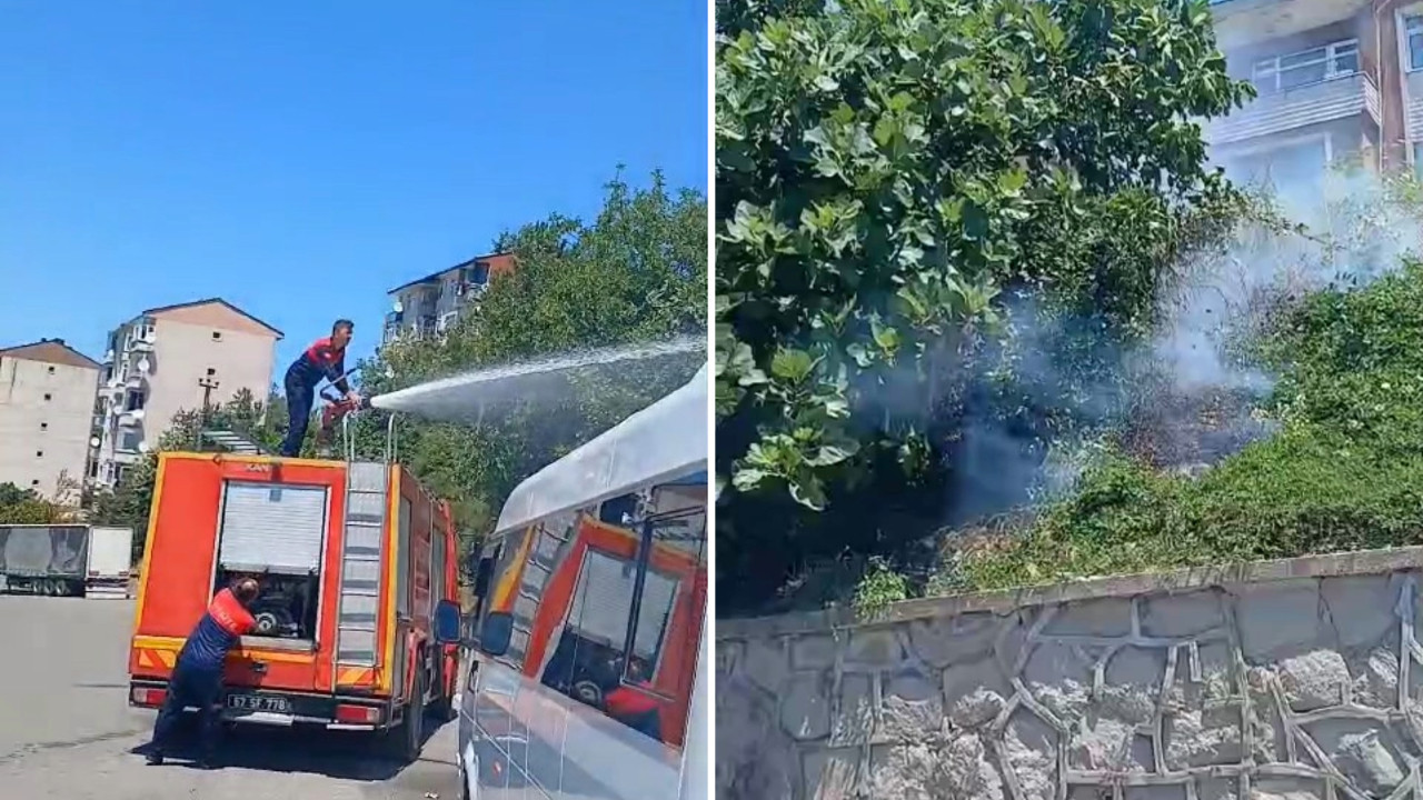 Elektrik akımına kapılan karga yangına neden oldu