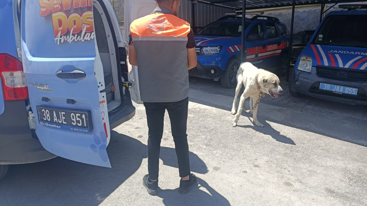 Vicdansızlığın böylesi! Köpeği araca bağladı, görüntüleri sosyal medyada paylaştı