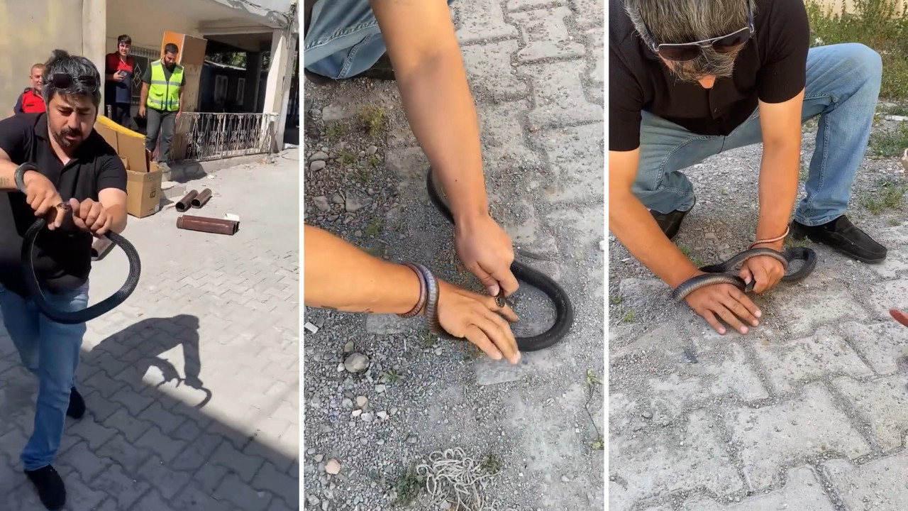 Eve giren yılanı yakalamak isterken parmağını kaptırdı