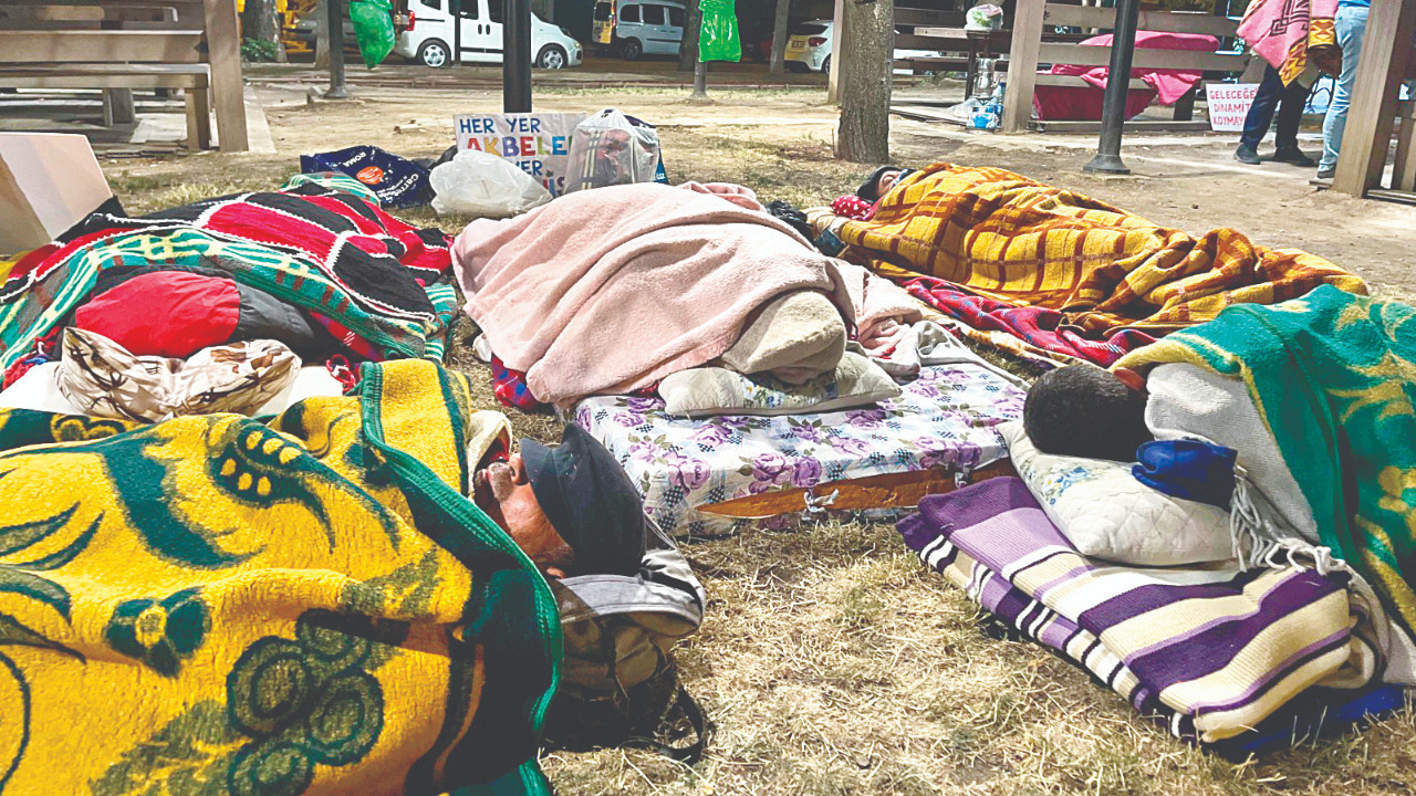 Parkta zeytin direnişi