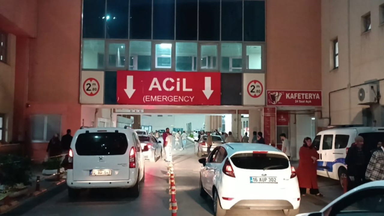 Annesini yaralayan kardeşini öldürüldü