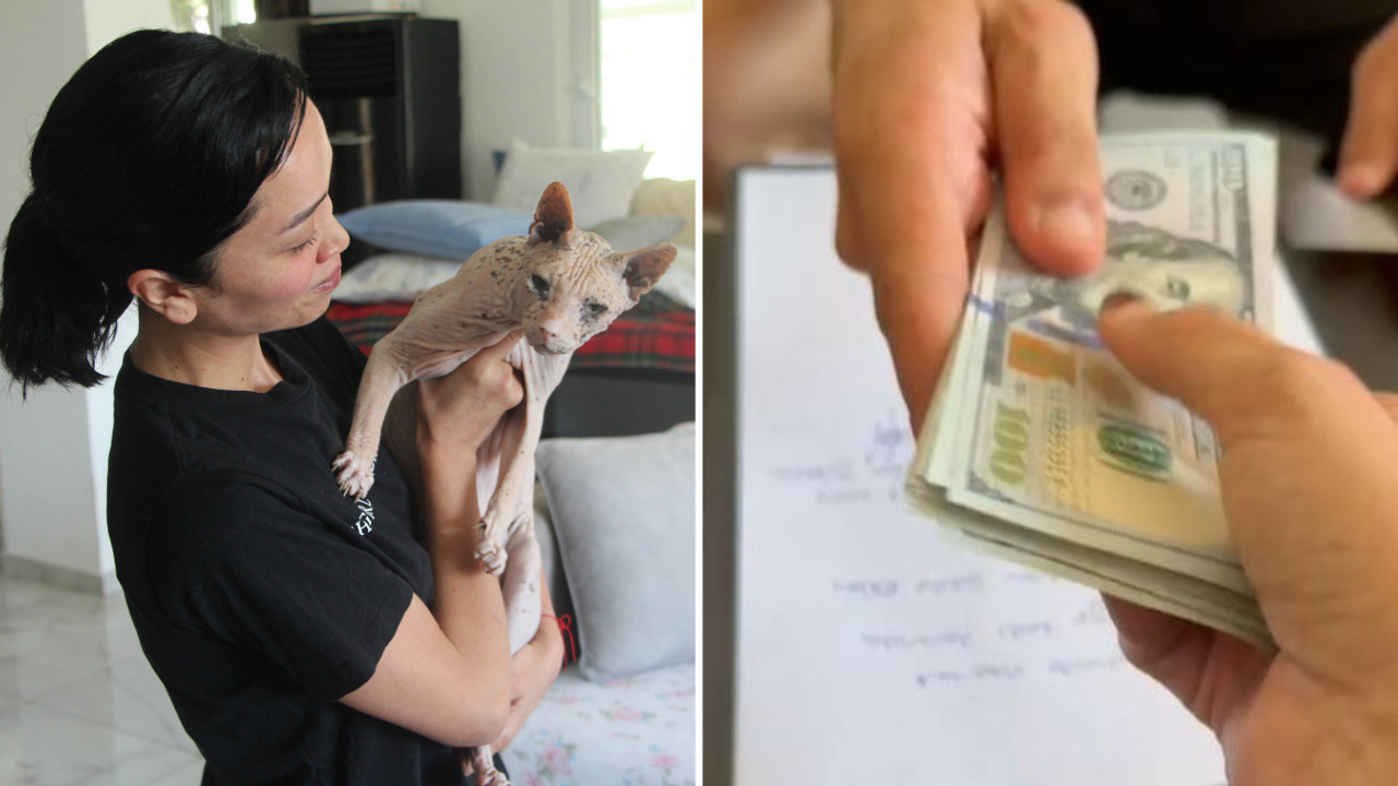 'Odin'i bulana 2 bin dolar ödül' demişti, sözünü tuttu