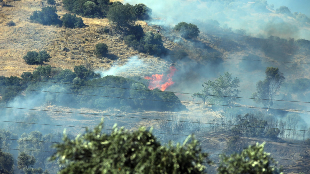 Efeler’de 30 dönüm alan kül oldu, 2 kişi gözaltında