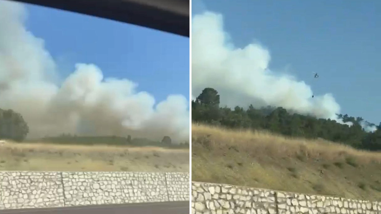 Kütahya'da orman yangını