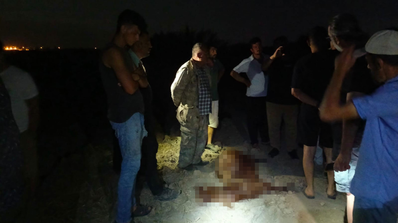 Sanayi bölgesinden geçen dereden su içen 65 hayvan öldü