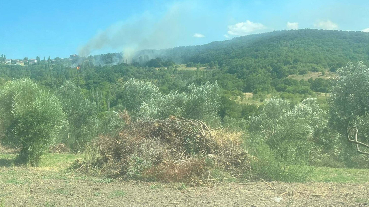 Çanakkale'deki orman yangınının nedeni, sigara izmariti çıktı