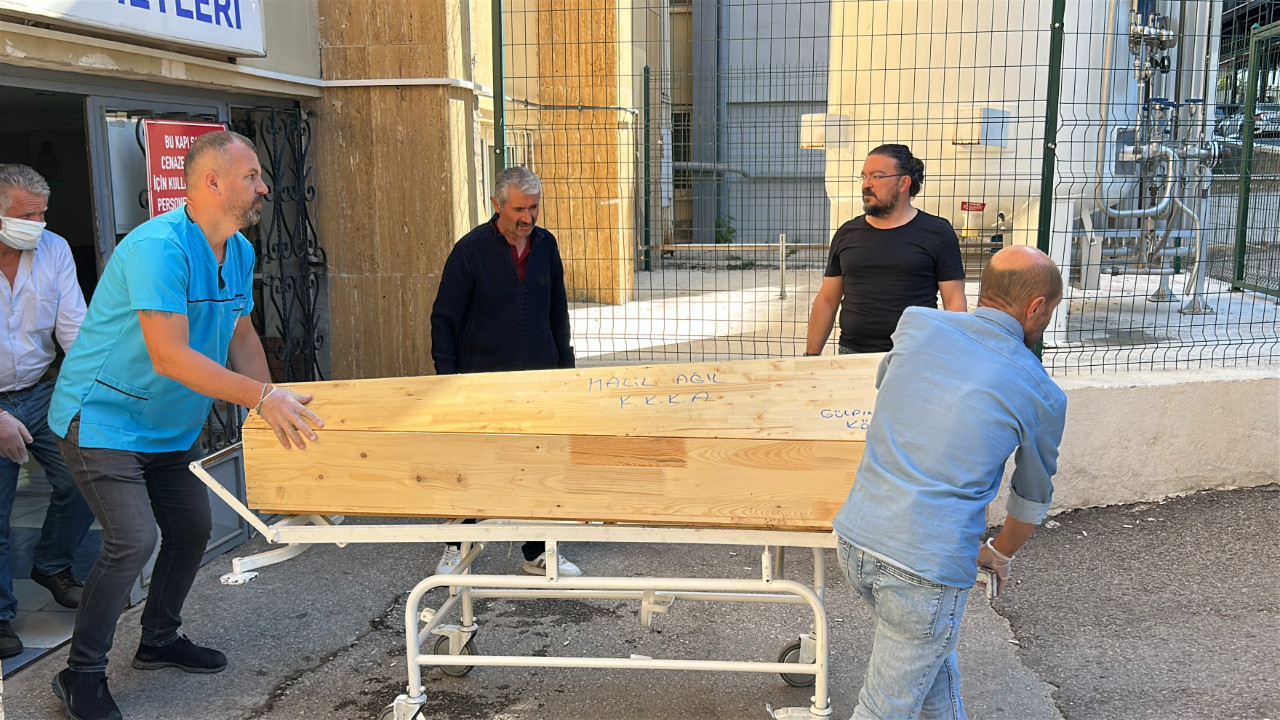 Kene bir can daha aldı