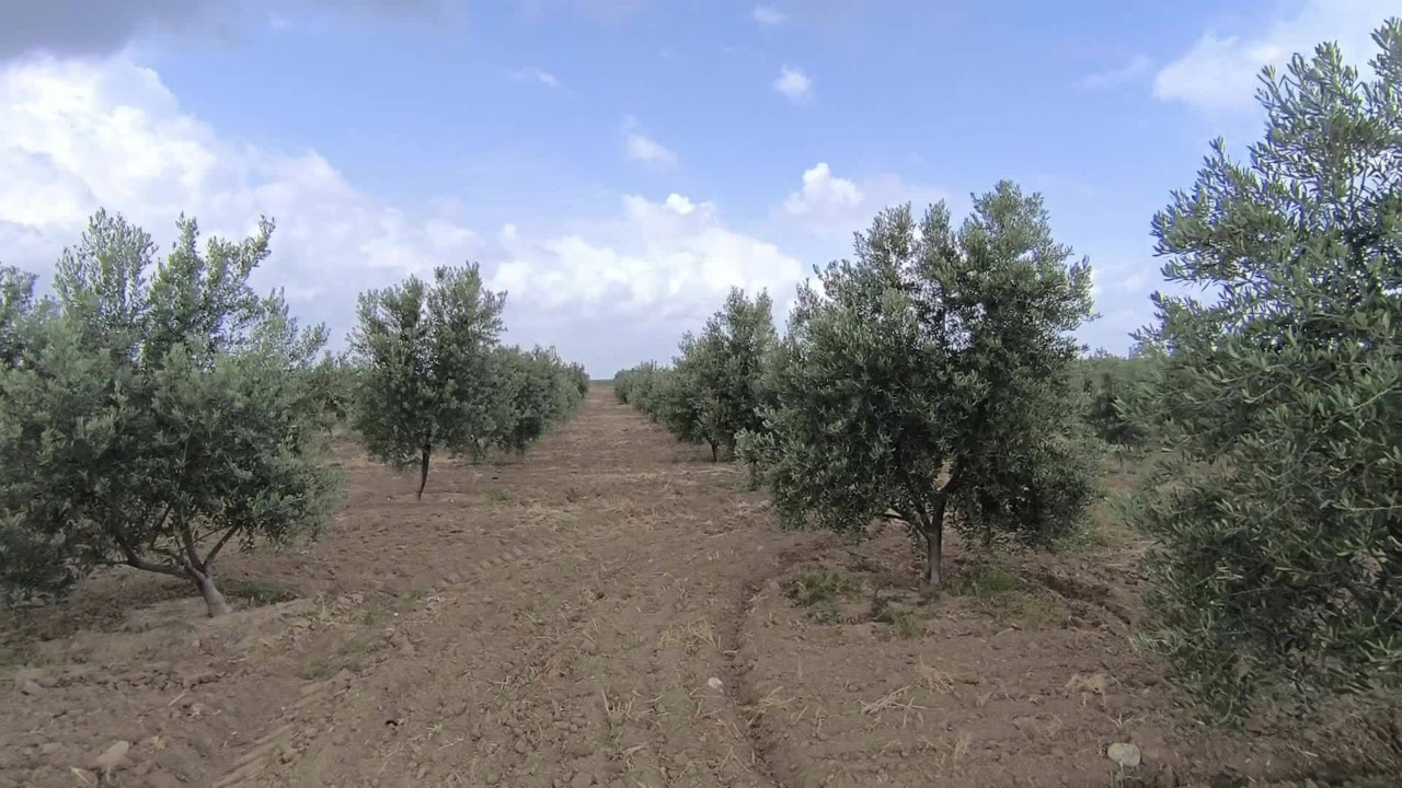 Tartışma büyüdü: Muğla'yı ayağa kaldıran rapor