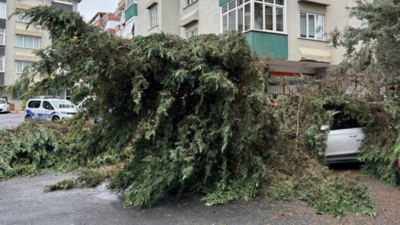 Uyarı geldi: Üç il ‘uçacak’