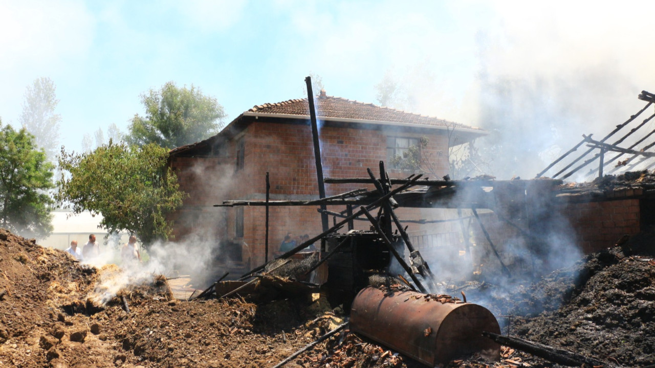 Tokat'ta yangın felaketi: Hayvanlar öldü, tonlarca ürün yandı