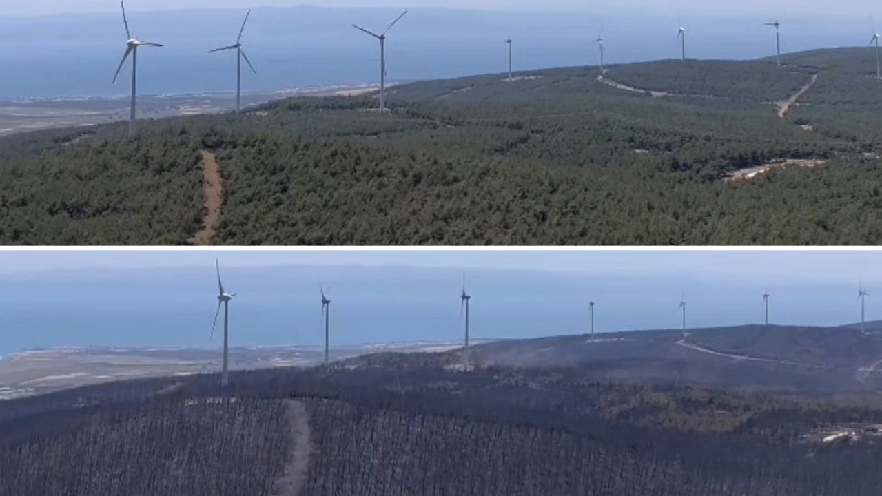 Burası birkaç gün önce ormandı! Şarköy'de yürek burkan görüntüler