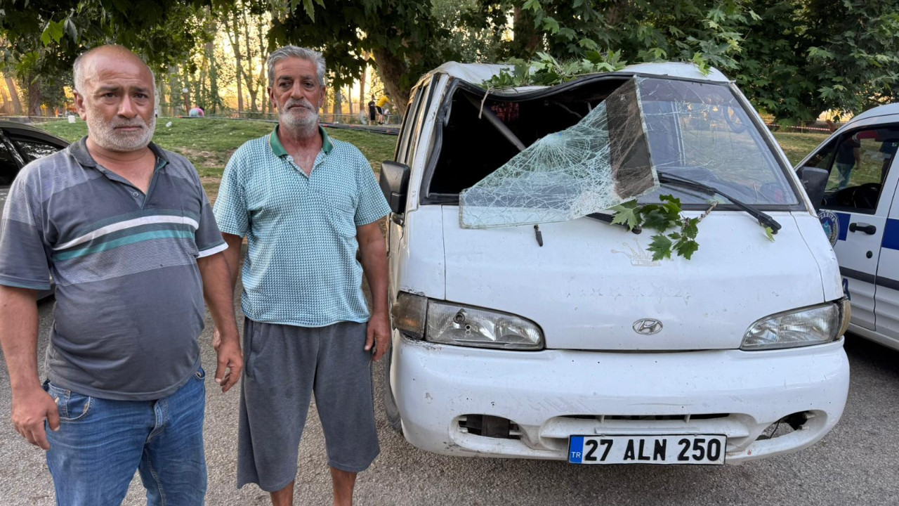 Ne olduğunu anlayamadılar: Piknik yaparken ağaç üzerlerine devrildi