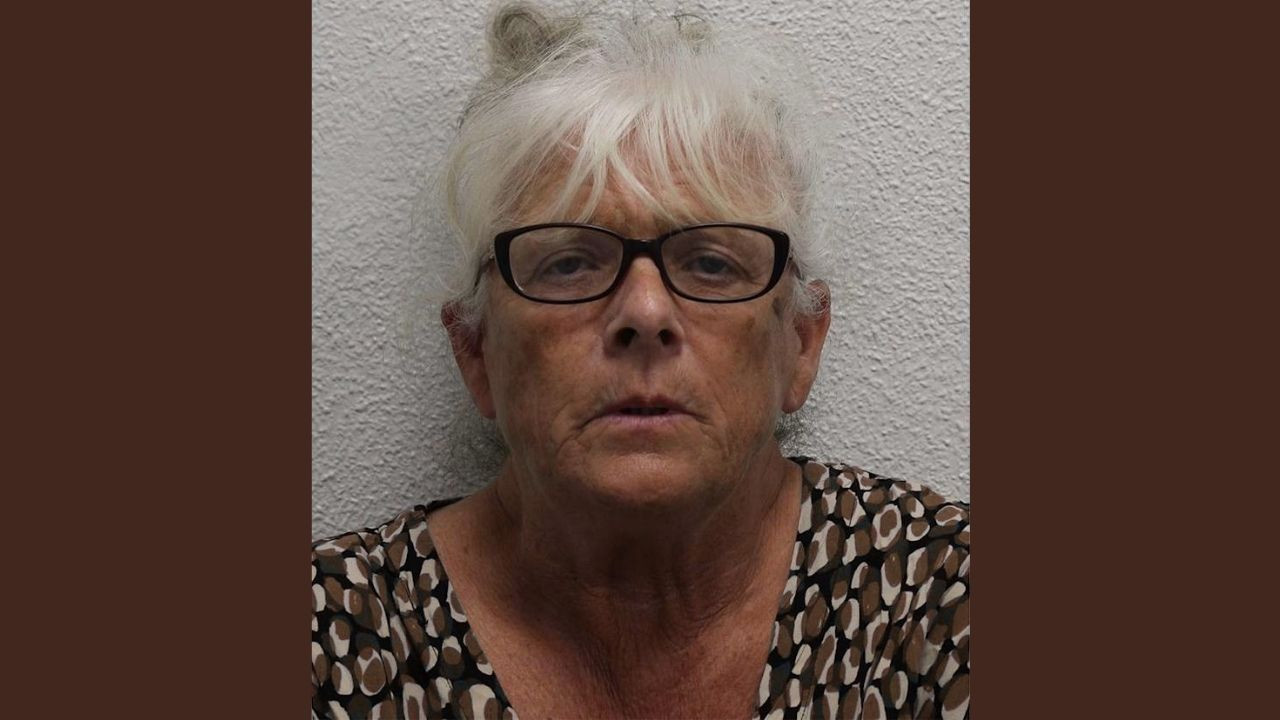 Türkiye'ye estetik için gelecekti: Çete lideri 'babaanne'ye hapis cezası