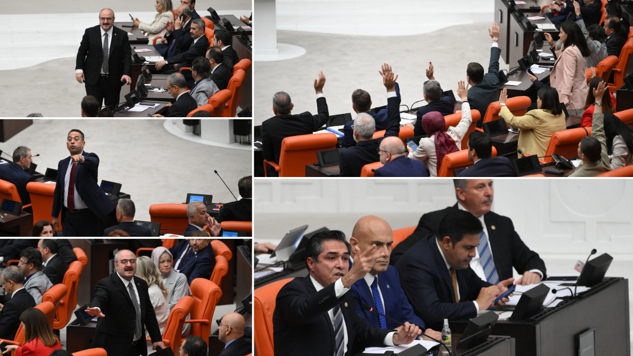 Zeytinliklerle ilgili kanun teklifi kabul edildi