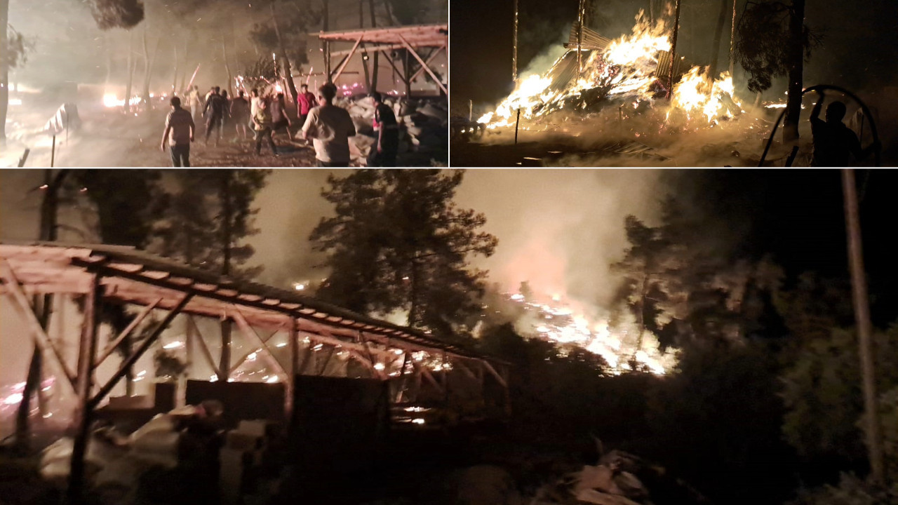 Bilecik’te bir yangın daha... 95 küçükbaş telef oldu