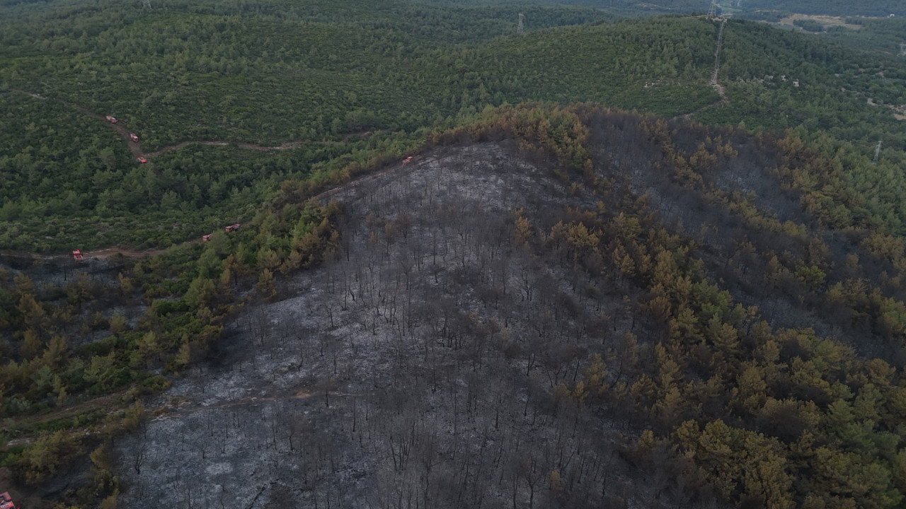 İzmir'deki orman yangını 2. gününde: Hasar havadan görüntülendi