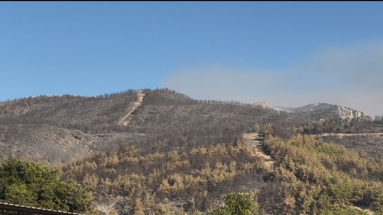Sakarya'daki orman yangını kısmen kontrol altına alındı