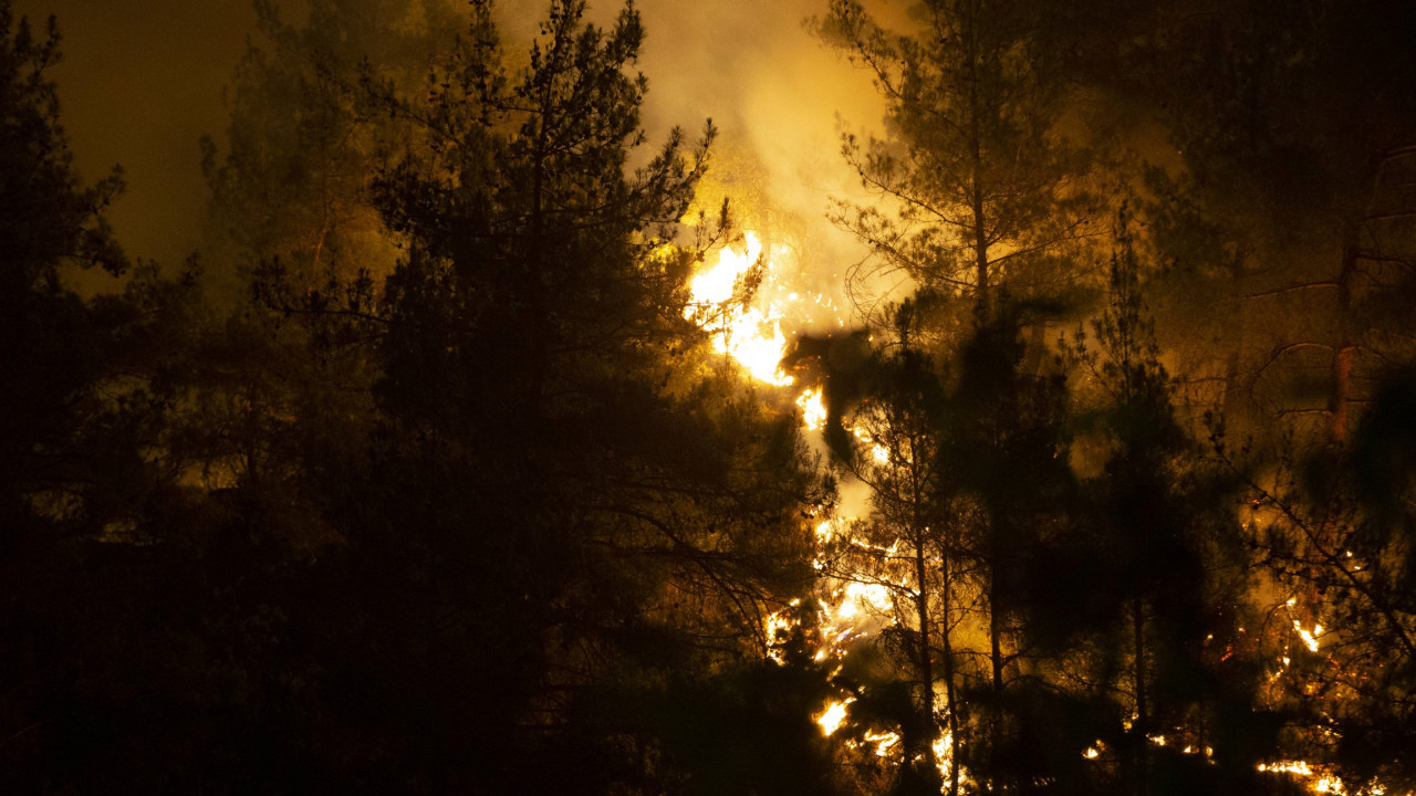 3 aylık orman yangını bilançosu: 27 tutuklama