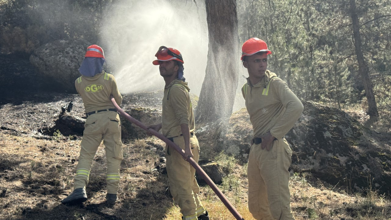 4 ili etkileyen yangın kontrol altına alındı