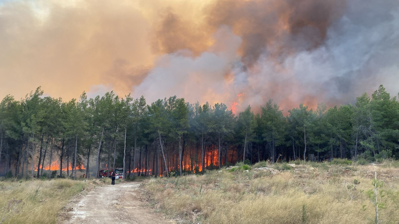 Kanada'da ağır bilanço: 17 milyon dönüm orman...