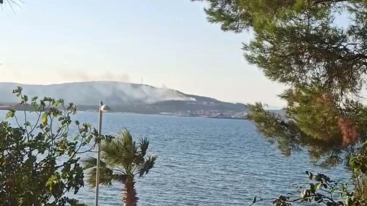 Cunda Adası’nda orman yangını