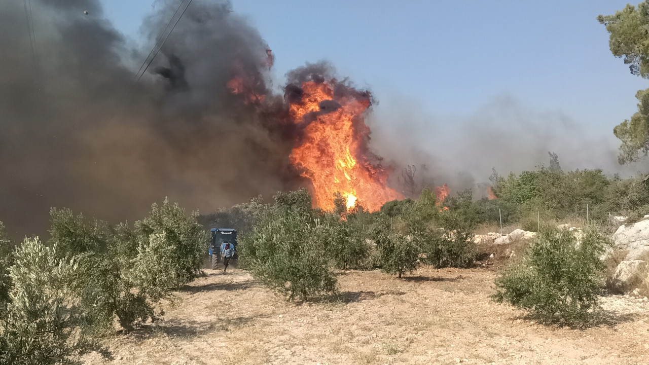 Üç ilde orman yangını