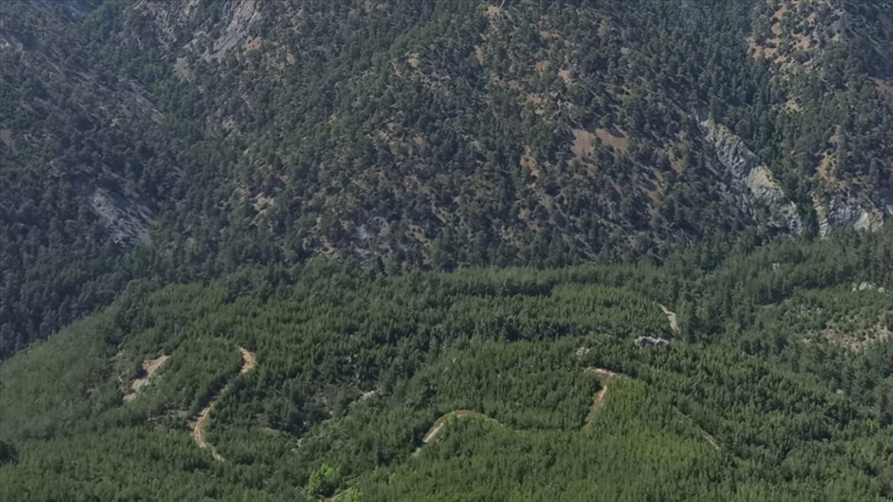 Muğla Valiliği’nden orman yangını uyarısı: Sıcaklık artıyor, girişler yasaklandı