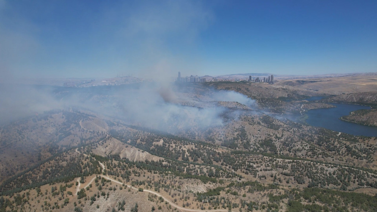 ODTÜ'de orman yangını