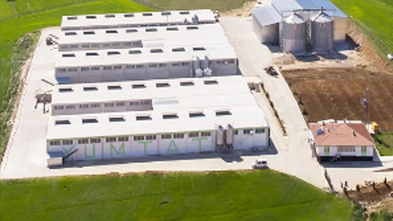 Yumurta şirketine kayyum