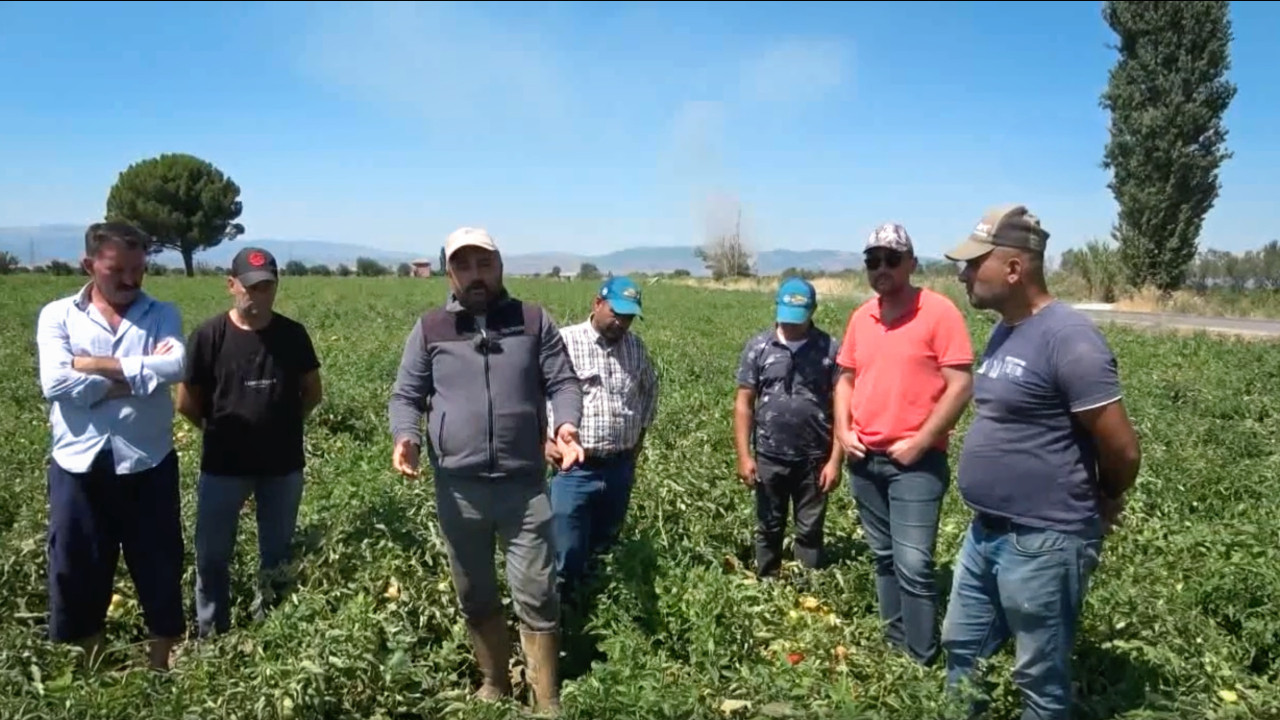 Fiyatlara tepki büyüyor: Yat almayacağız, bari 8 TL olsun