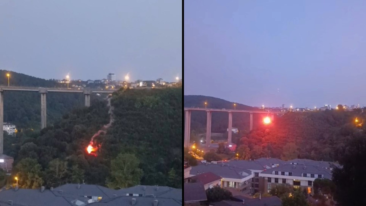 Havai fişekle ormanı yaktı, tutuklandı