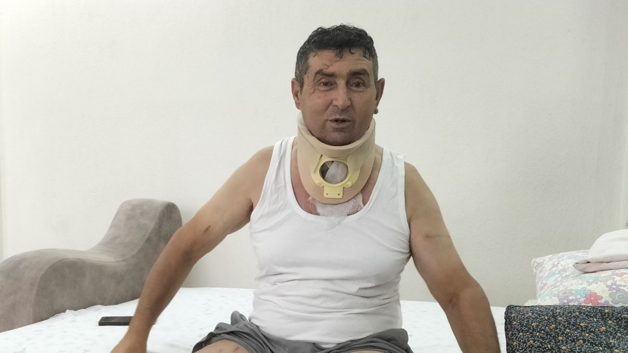 Aslan 'Zeus'la boğuşan adam: O da suçsuzdu, keşke öldürmeselerdi