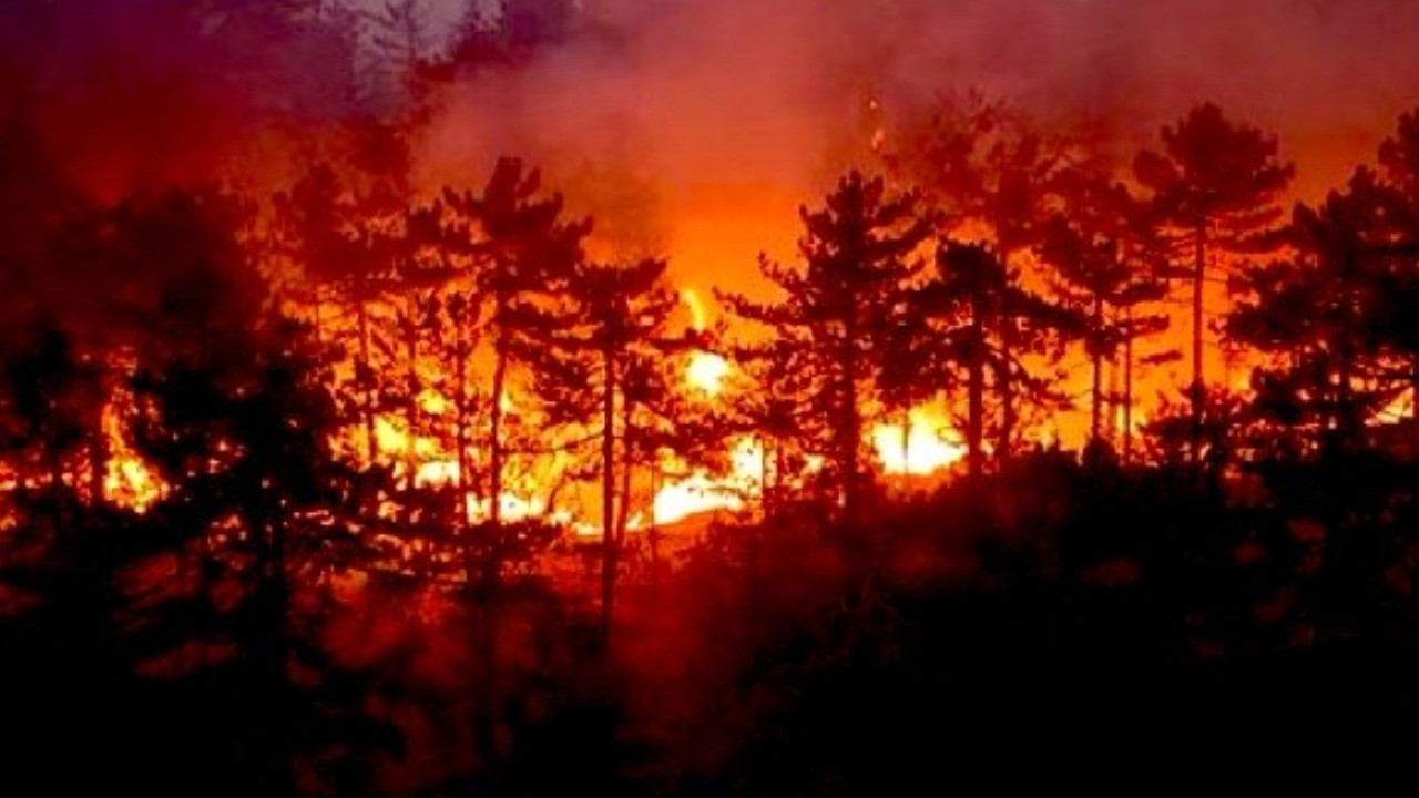 Bursa'da havai fişek atanlara ders gibi ceza