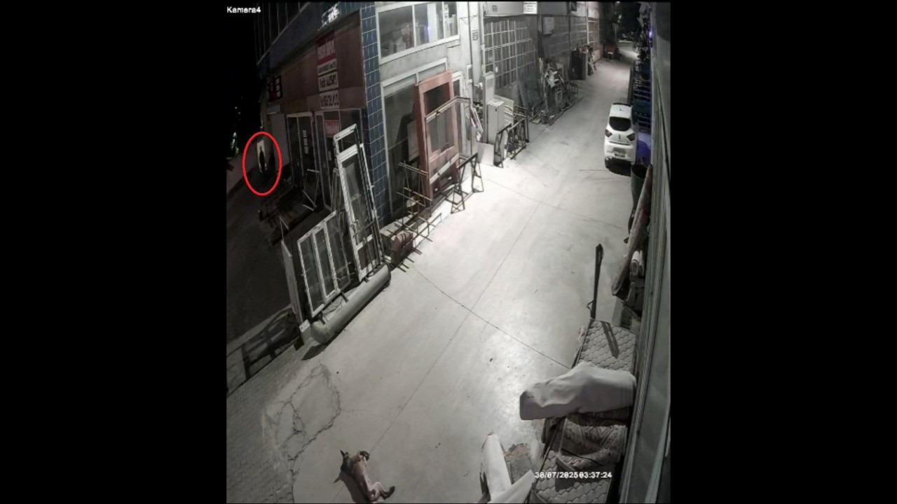 Havalı tüfekle vurulan köpek felç kaldı