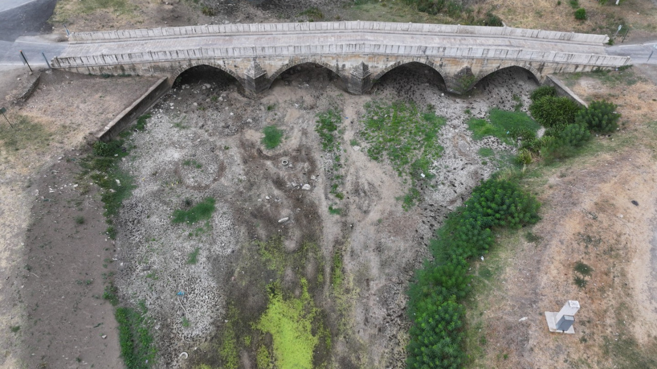 Tunca Nehri akmıyor: Ördeklerin yerini köpekler aldı