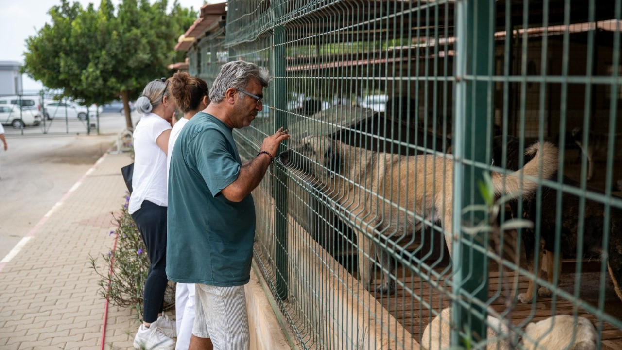 Mersin Büyükşehir Belediyesi'nden Kaşlı Hayvan Bakımevi iddialarına soruşturma