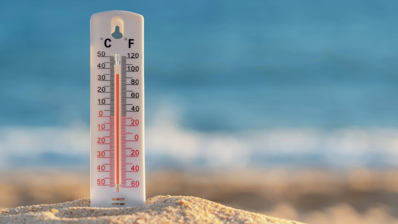 Son bir haftada 264 kişi öldü, ülkede alarma geçildi